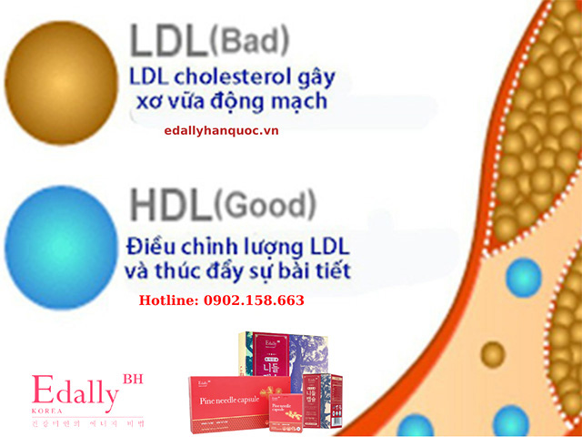 HDL - cholesterol giảm là dấu hiệu cảnh báo mỡ máu cao