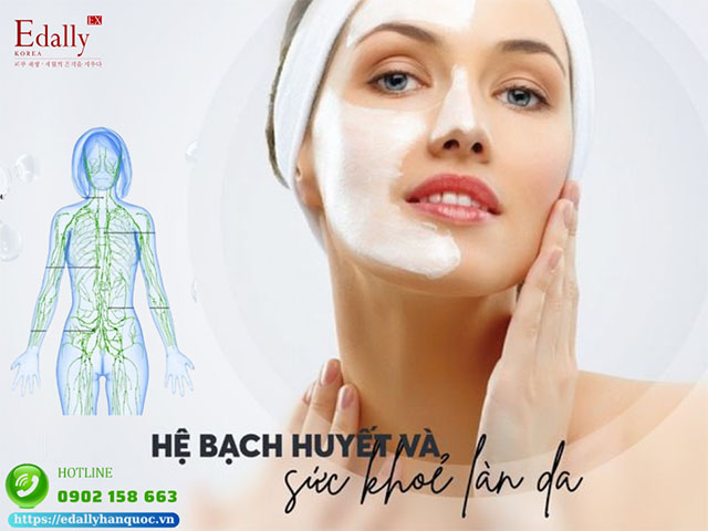 Hệ bạch huyết và sức khỏe làn da