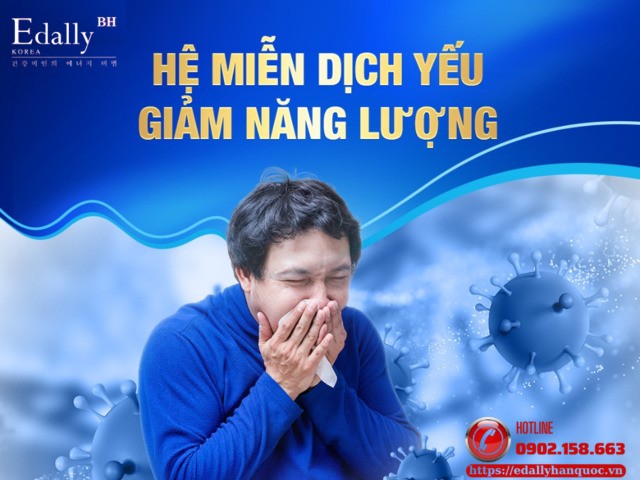 Hệ miễn dịch yếu, giảm năng lượng là những dấu hiệu lão hóa của cơ thể thường bị bỏ qua