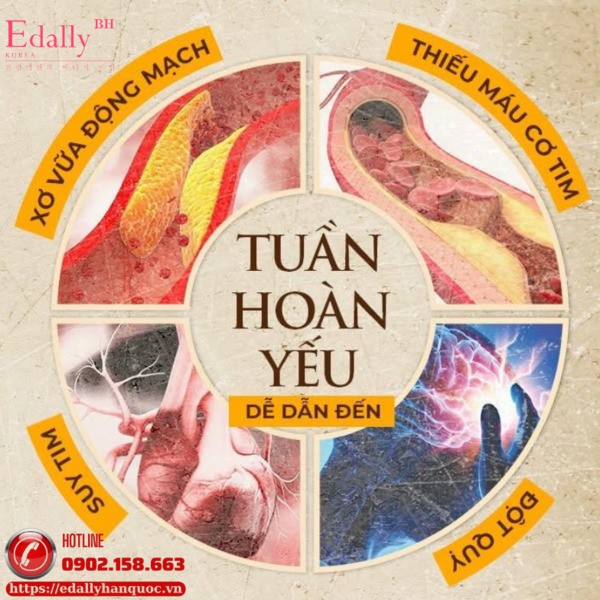 Hệ tuần hoàn máu kém nguy hiểm như thế nào?