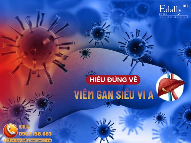 Góc nhìn đúng về viêm gan siêu vi A Góc nhìn đúng về viêm gan siêu vi A