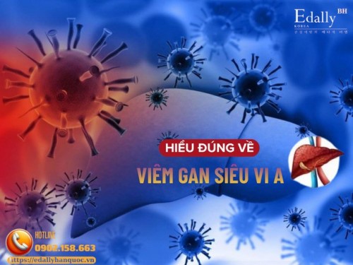 Viêm Gan Siêu Vi A - Hiểu Đúng Để Phòng Ngừa Hiệu Quả