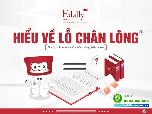 Hiểu về lỗ chân lông và cách thu nhỏ lỗ chân lông hiệu quả