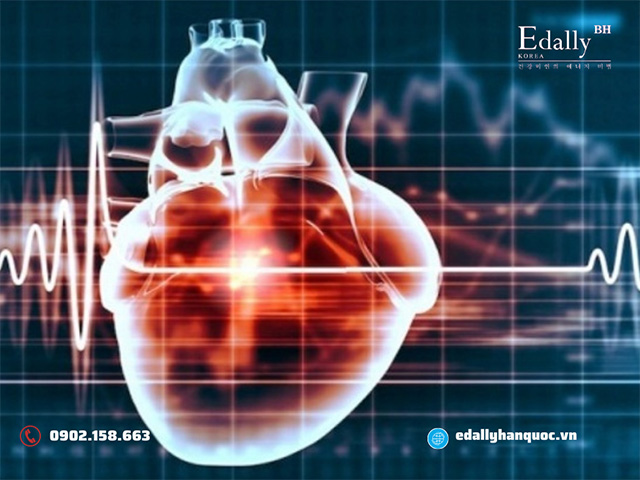Hở van tim gây nên tình trạng rối loạn nhịp tim