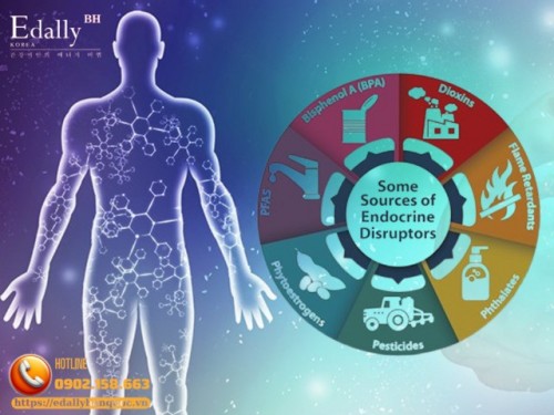 Hóa Chất Gây Rối Loạn Nội Tiết Có Phải Là Nguyên Nhân Gây Ra Các Bệnh Nội Tiết?