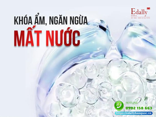 Hoạt chất Ceramide có tác dụng khóa ẩm, ngăn ngừa mất nước