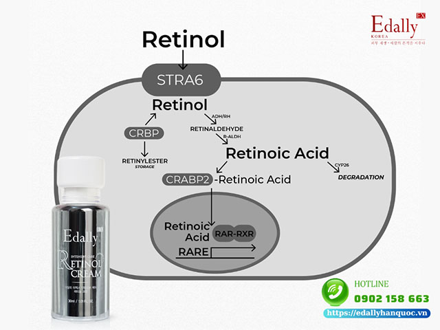 Retinol là hoạt chất giúp cải thiện kích thước lỗ chân lông to hiệu quả