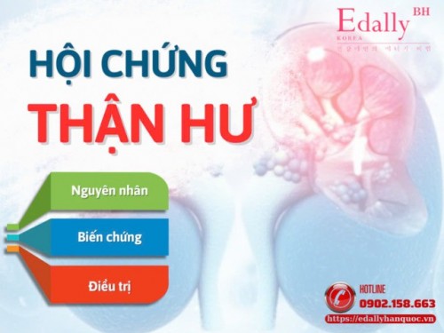 Hội Chứng Thận Hư: Nguyên Nhân, Triệu Chứng, Cách Điều Trị Và Phòng Ngừa