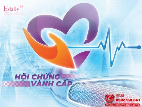 Khái Niệm Mới Trong Sinh Lý Bệnh Hội Chứng Vành Cấp