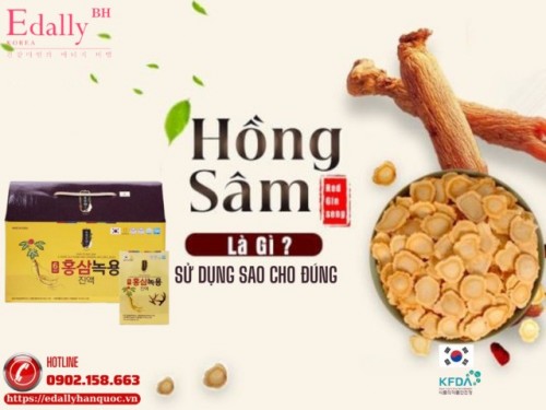 Hồng Sâm Là Gì Và Sử Dụng Như Thế Nào Cho Đúng?