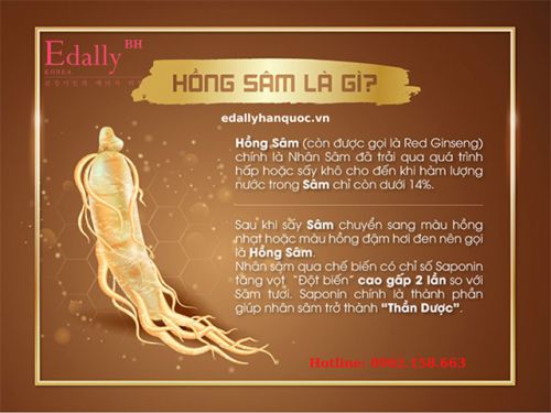 Hồng Sâm Là Gì? Công Dụng Của Hồng Sâm Trong Chữa Trị Ung Thư