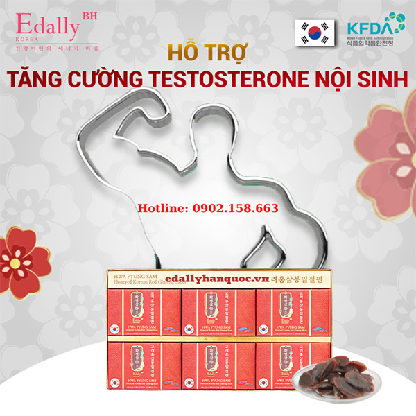 Hồng sâm lát tẩm mật ong Edally BH Hàn Quốc có tác dụng tăng cường Testosterone nội sinh ở nam giới