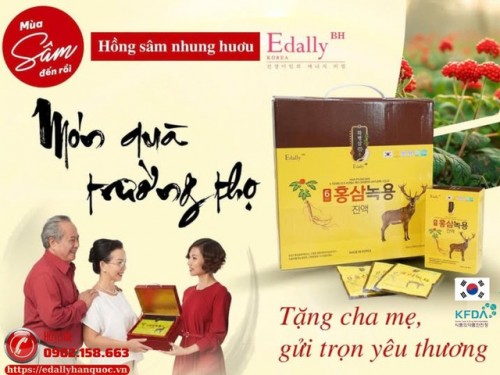 Hồng Sâm Nhung Hươu - Món Quà Trường Thọ Tặng Cha Mẹ, Gửi Trọn Yêu Thương 
