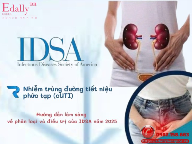 Những điểm chính và khác biệt trong hướng dẫn về điều trị nhiễm khuẩn phức tạp của hội truyền nhiễm Mỹ (IDSA) - 2025