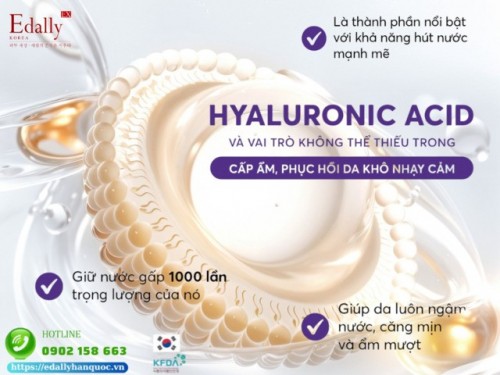 Hyaluronic acid (HA) Và Vai Trò Không Thể Thiếu Trong Cấp Ẩm, Phục Hồi Da Khô Nhạy Cảm