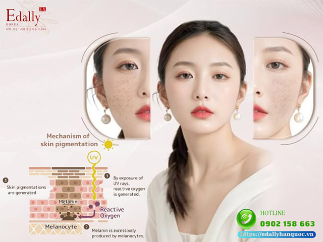 Quá trình hình thành hắc tố melanin