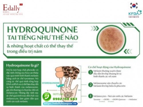 Hydroquinone Tai Tiếng Như Thế Nào Và Những Hoạt Chất Có Thể Thay Thế Trong Điều Trị Tăng Sắc Tố Da?