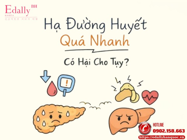 Hạ Đường Huyết Quá Nhanh Có Hại Tụy Không?