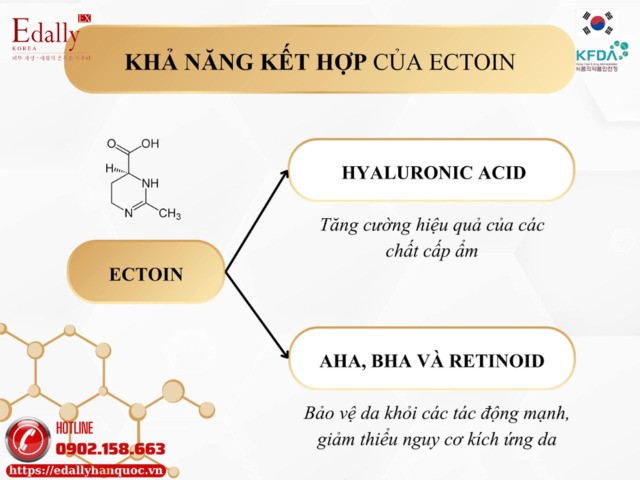 Khả năng kết hợp của Ecotin với các thành phần khác khi chăm sóc da