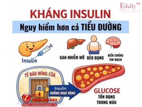 Kháng Insulin Là Gì Và Vì Sao Nó Nguy Hiểm Hơn Tiểu Đường?