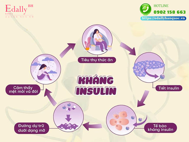 Thế nào là kháng insulin?