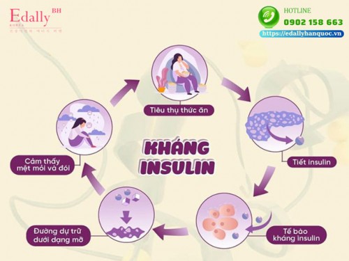 Kháng Insulin Là Gì, Làm Sao Để Phòng Ngừa Và Điều Trị Hiệu Quả?