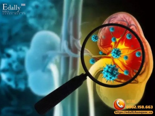 Khi Bệnh Thận Đến Muộn Người Bệnh Cần Làm Gì?