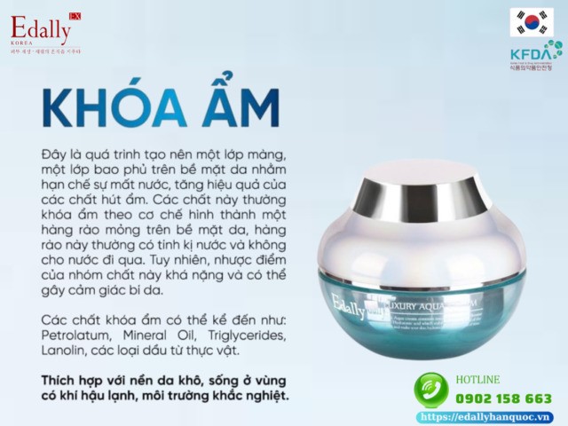 Khóa ẩm (Occlusive) là gì?