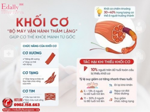 Khối Cơ Và Protein