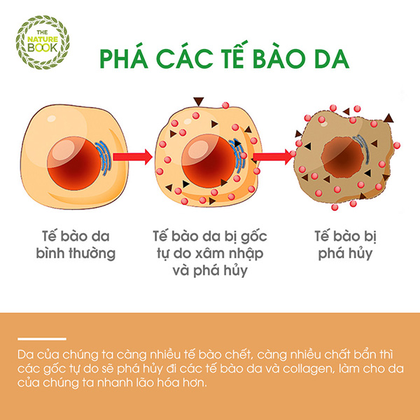 Không dùng dầu tẩy trang sẽ khiến các tế bào da dần bị tàn phá