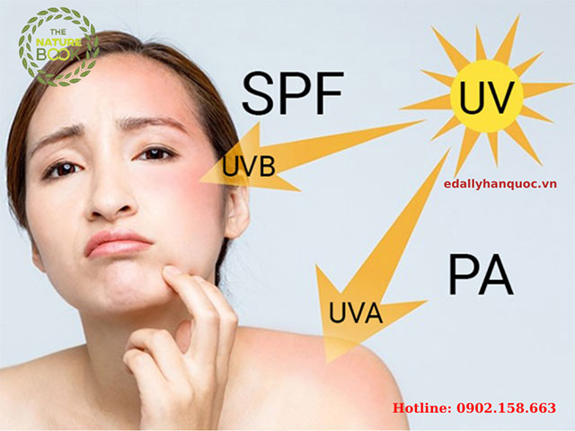 Không dùng kem chống nắng các tia UV sẽ có cơ hội gây tổn hại tế bào da