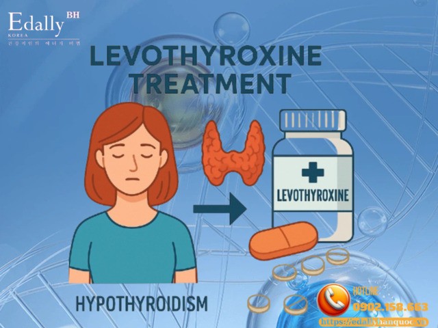 Khuyến cáo của Hội Tuyến giáp châu Âu (ETA) năm 2025 về điều trị thuốc Levothyroxin (LT4) cho người suy giáp
