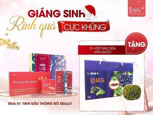 KHUYẾN MẠI THÁNG 12/2021 TỪ TRUNG TÂM TINH DẦU THÔNG ĐỎ EDALLY BH