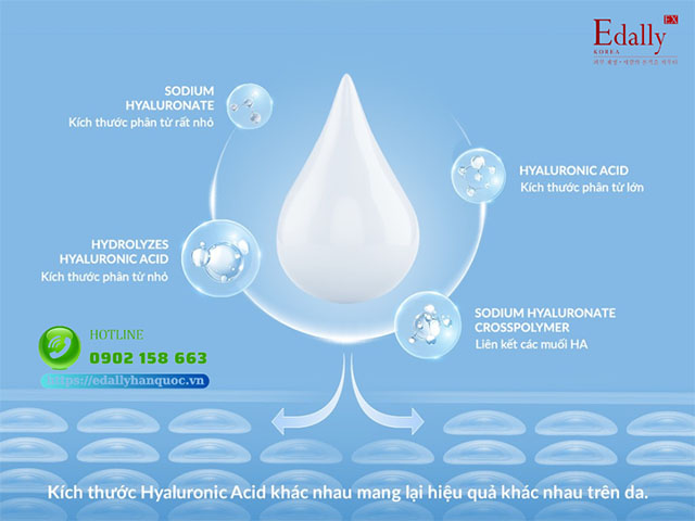 Kích thước Hyaluronic Acid (HA) khác nhau sẽ mang lại kết quả khác nhau trên da