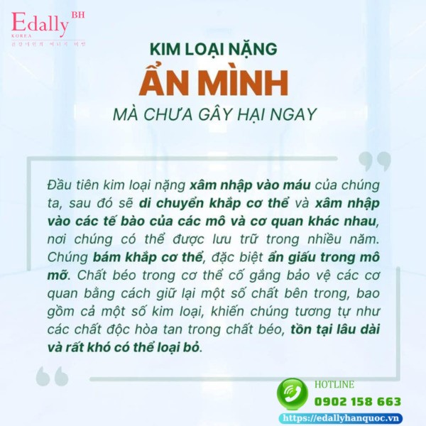 Kim loại nặng ẩn mình trong cơ thể mà chưa gây hại ngay cho sức khỏe