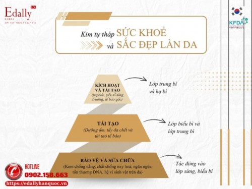 Kim Tự Tháp Sức Khỏe Và Sắc Đẹp Làn Da