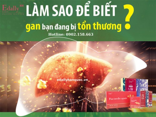 Làm Sao Để Biết Gan Đang Bị Tổn Thương?