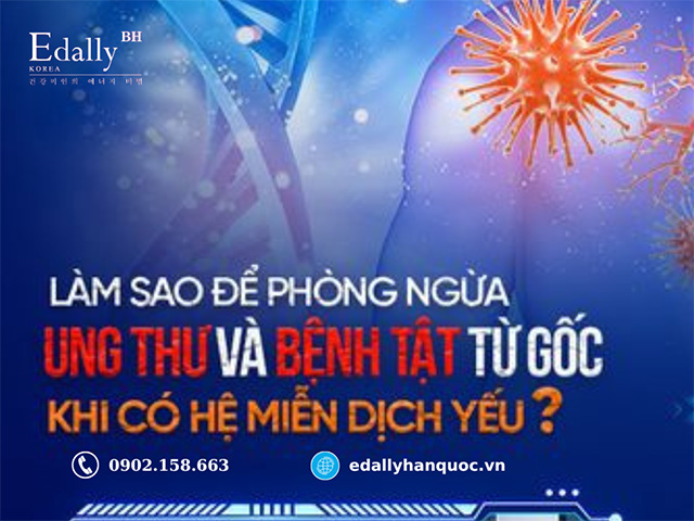 Làm sao để phòng ngừa ung thư và bệnh tật khi có hệ miễn dịch yếu?