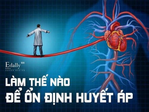 Sự Nguy Hiểm Của Huyết Áp Thấp Và Thiếu Máu Ít Người Biết