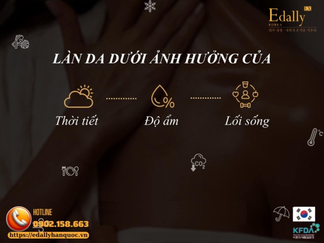 Làn da dưới ảnh hưởng của thời tiết, độ ẩm và lối sống như thế nào?