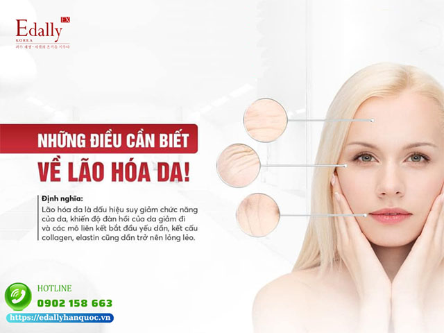 Những điều cần biết về làn da lão hóa