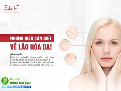 Làn Da Lão Hóa - Những Điều Cần Biết