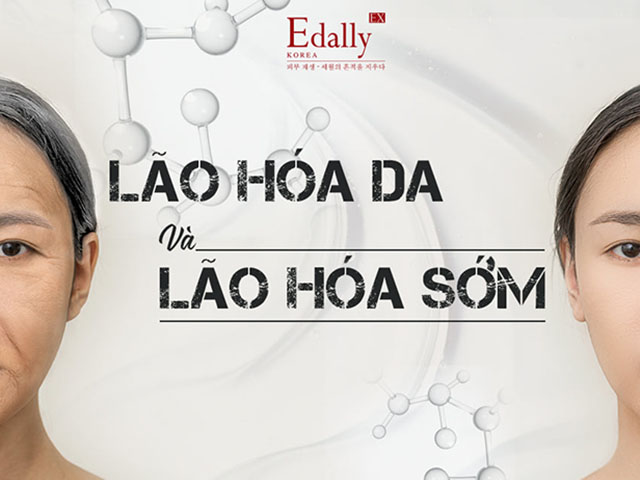 Lão Hóa Da Và Lão Hóa Sớm
