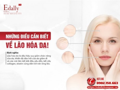 Lão Hóa Da Và Những Điều Cần Biết Để Ngăn Ngừa Từ Sớm