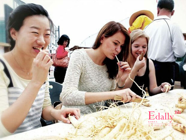 Lễ hội nhân sâm Hàn Quốc được tổ chức hàng năm tại Geumsan 