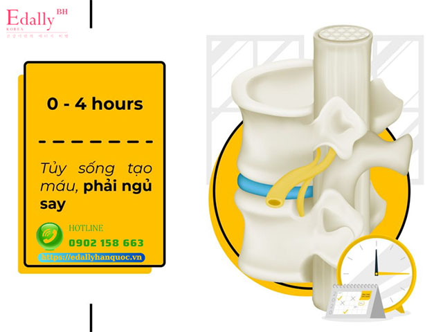 Lịch ngủ từ 0 - 4h sáng để phục hổi tủy sống và tạo máu