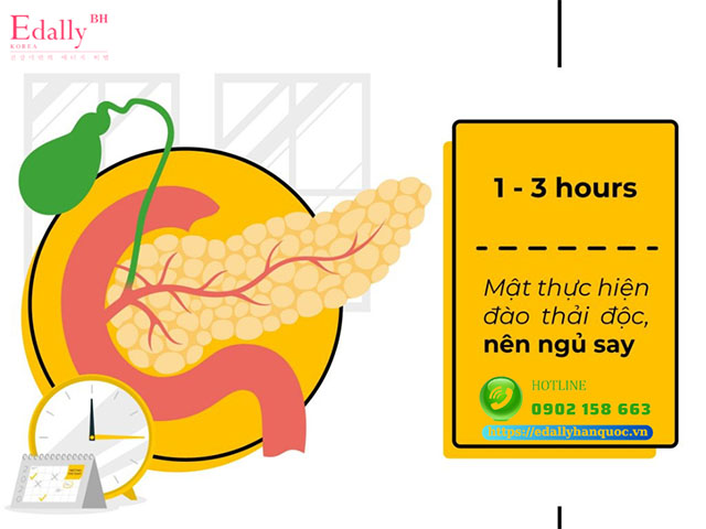 Lịch ngủ từ 1 - 3h sáng để phục hồi mật