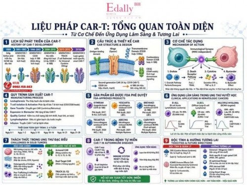 Liệu Pháp CAR-T : Từ Cơ Chế Đến Ứng Dụng Lâm Sàng Và Tương Lai (Phần 1)
