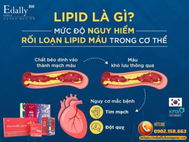 Lipid là gì và mức độ nguy hiểm của rối loạn lipid máu trong cơ thể?