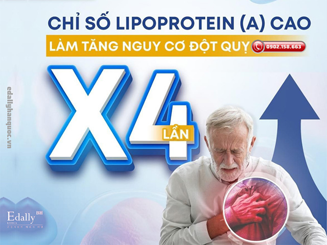 Chỉ số Lipoprotein (a) cao làm tăng nguy cơ đột quỵ gấp 4 lần so với người có chỉ số Lipoprotein (a) thấp